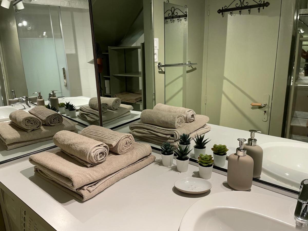 2 Pieces Climatise En Duplex Avec Terrasse Apartment เอ็ก-ซอง-โพรวองซ์ ภายนอก รูปภาพ